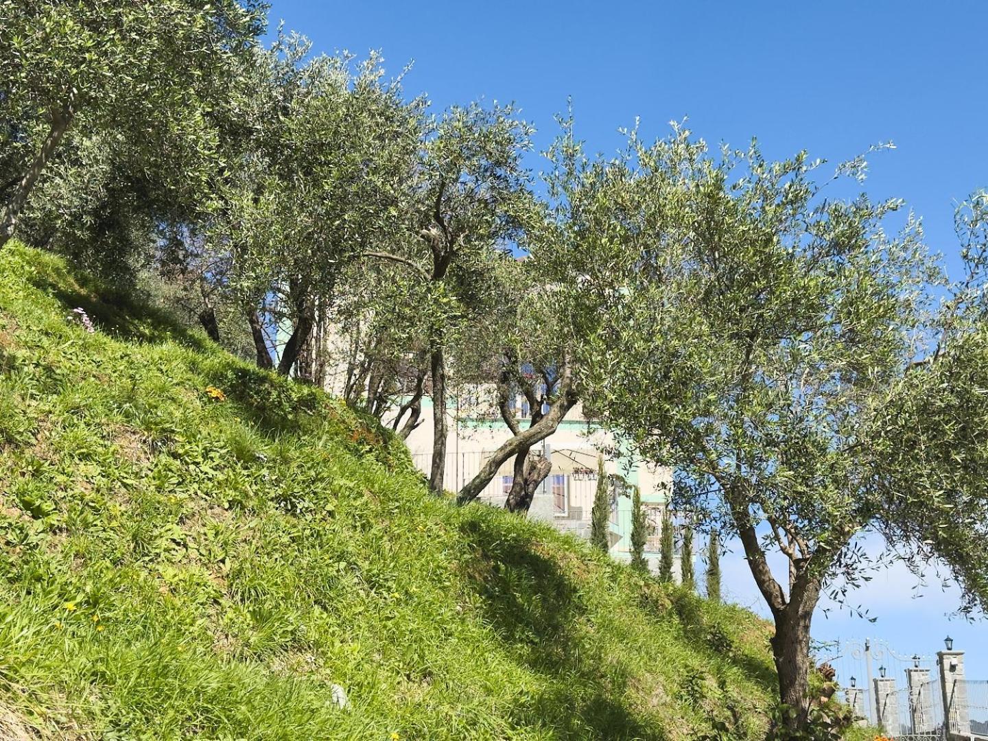 Villa Dei Poeti La Spezia Esterno foto